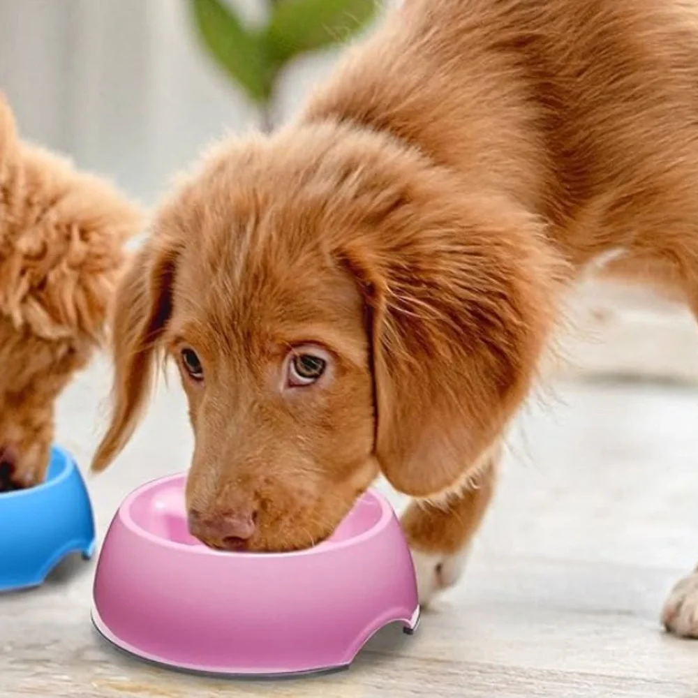2- Pink Go Slow Anti Gulping Dog /Cat Feeding Bowls